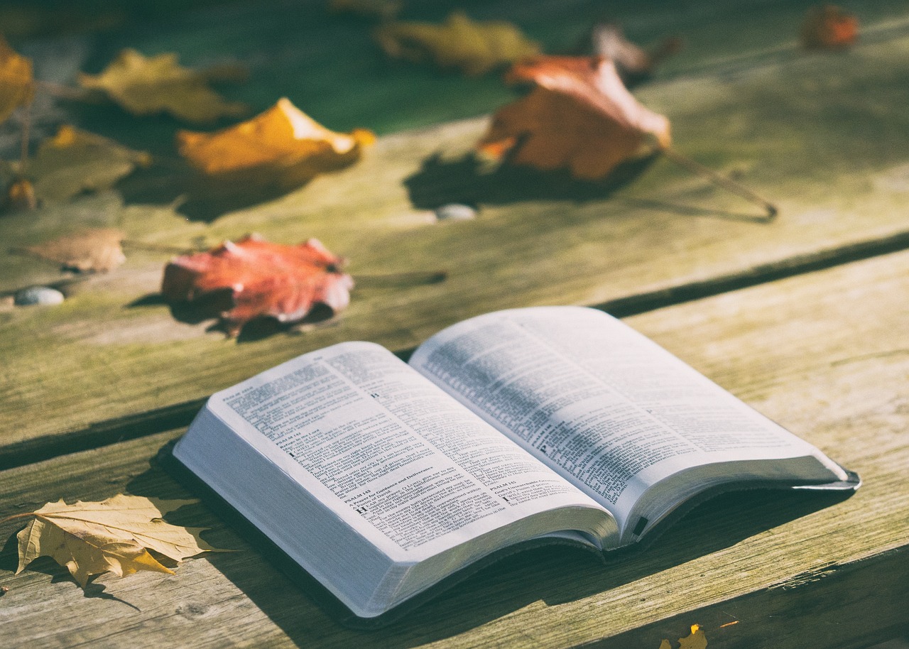 Open book resting on a wooden surface, surrounded by colorful autumn leaves.