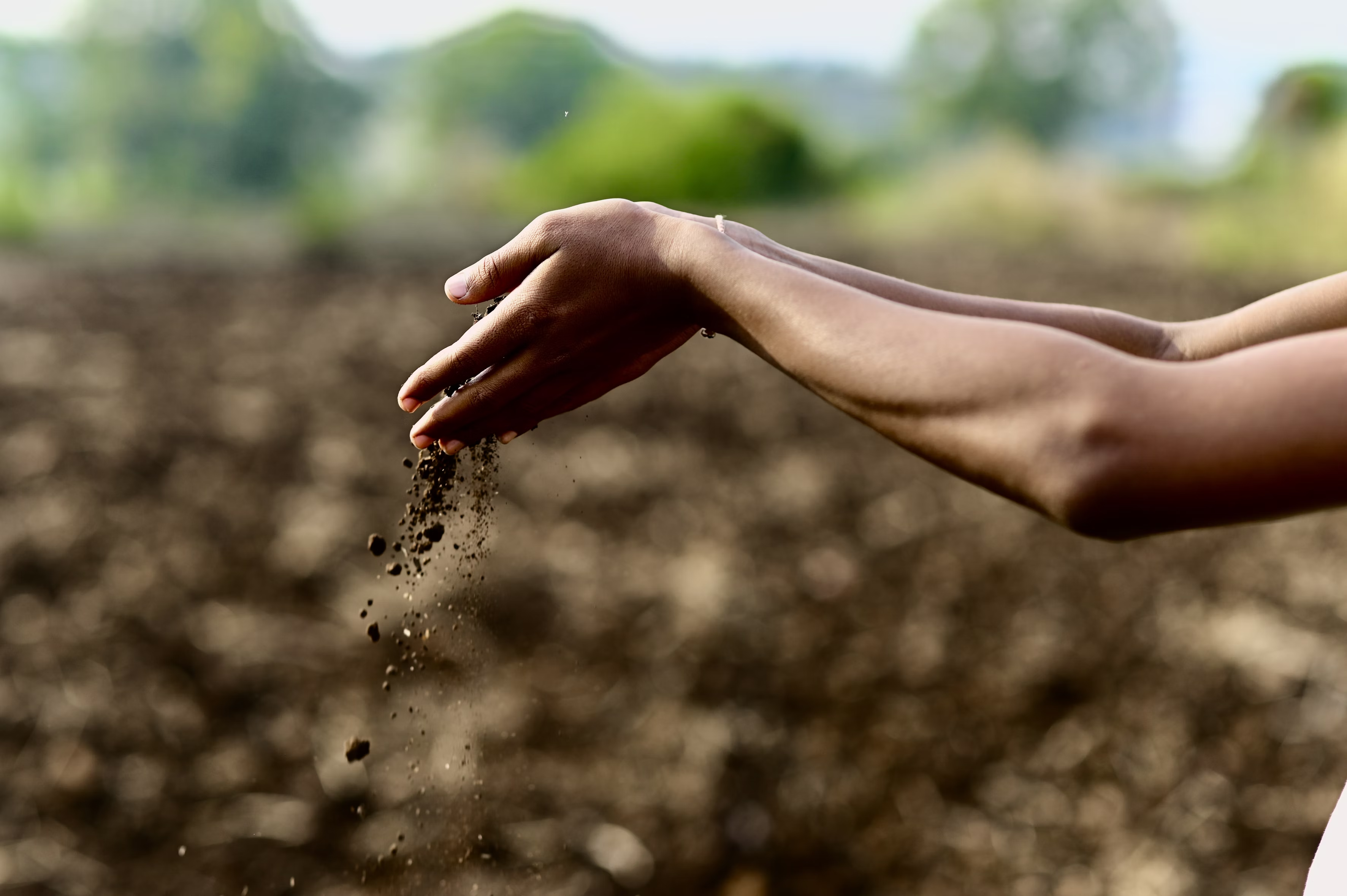 Hands gently releasing soil against a blurred, earthy background.
